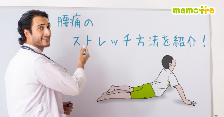 腰痛のストレッチ方法を紹介