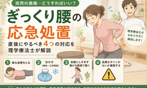 ぎっくり腰の応急処置|直後にやるべき4つの対応を理学療法士が解説|ぎっくり腰とは?どうして突然痛くなるのかの解説画像